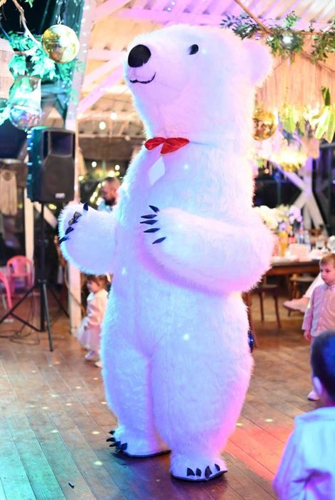 Inchiriere Urs Gigant dansator