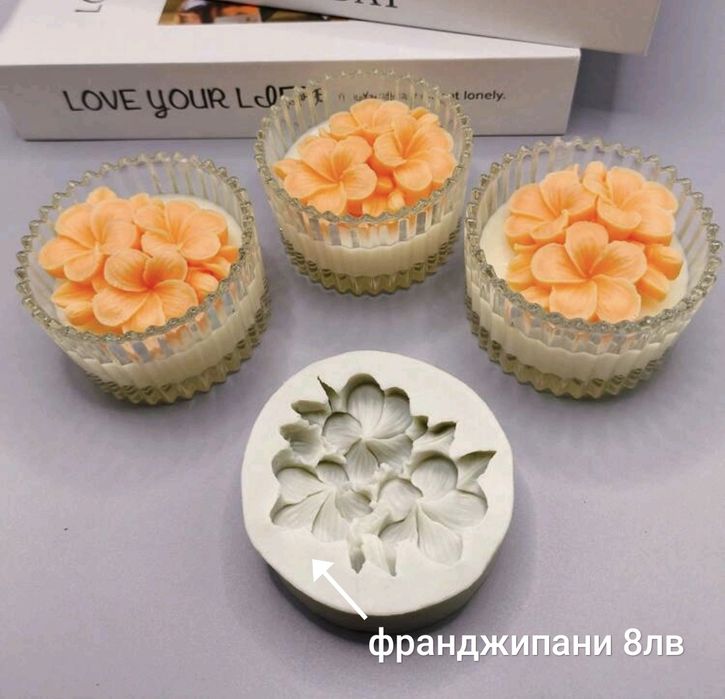 Нови модели молд