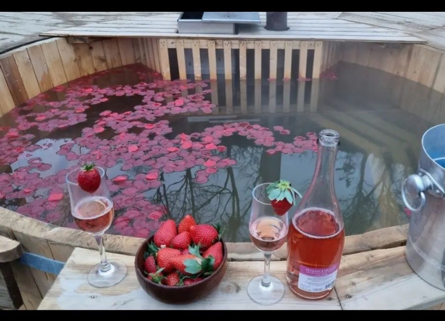 Cabana de închiriat capacitate este de 6 persoane!