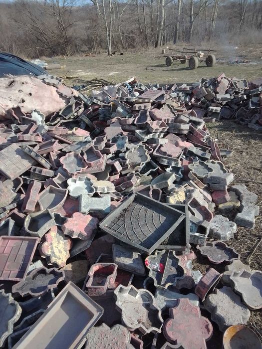 vand pavele si spalieri  sau schimb cu diverse