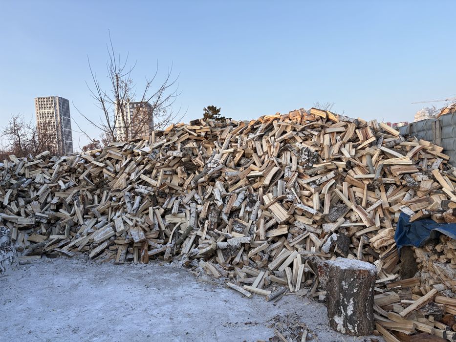 Отын жарылган ак кайын