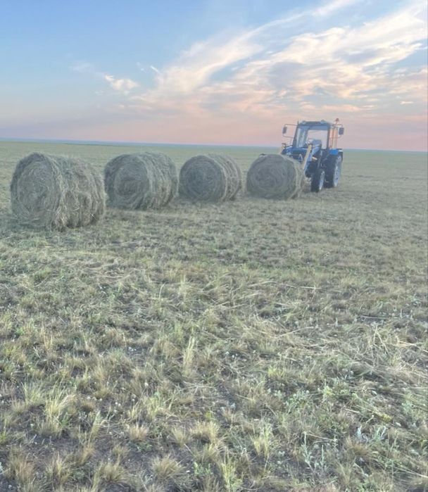 Продам сено тюках