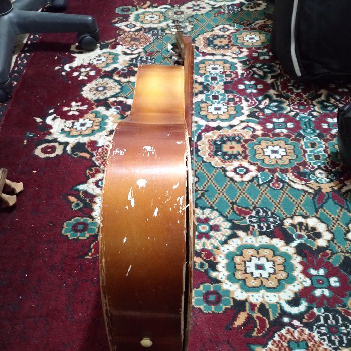 Bu Savitskiy gitarasi