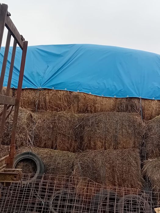 Vând baloți de fân