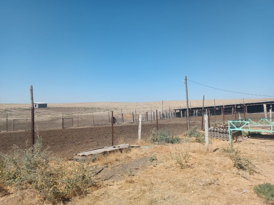 Қой қорамен сатылады