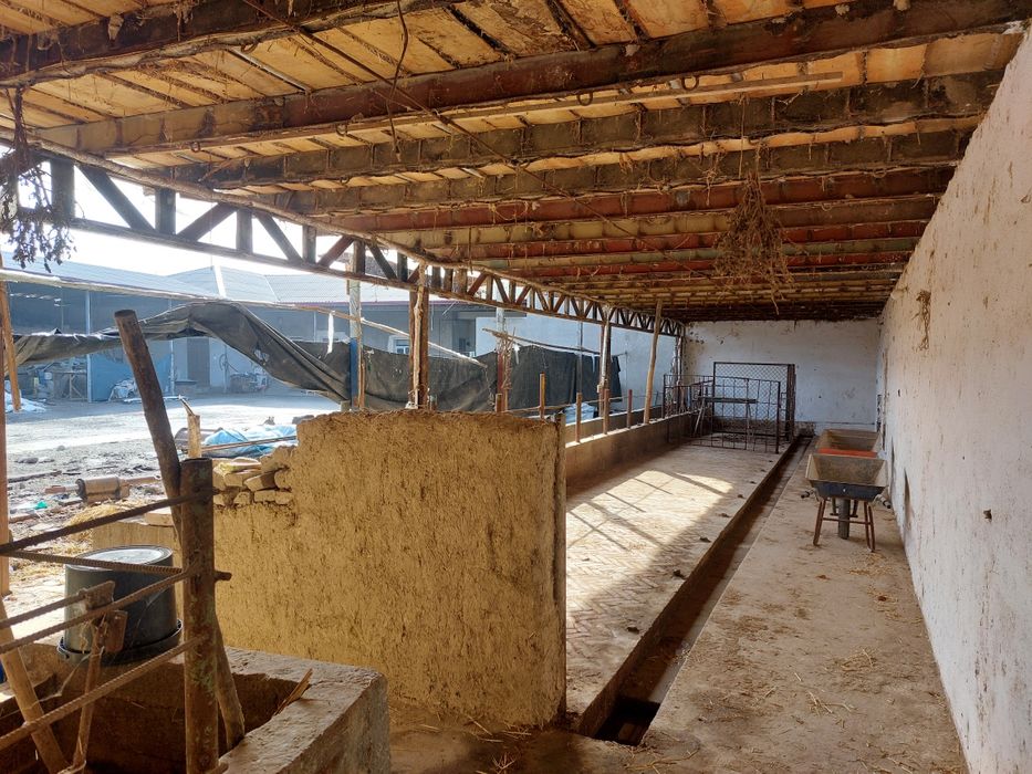 Tayor ferma sotiladi