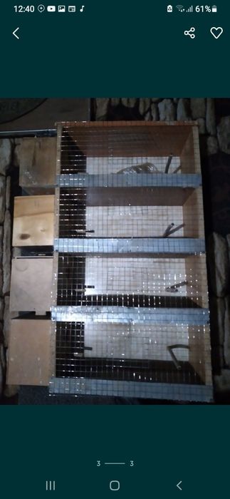 К,ушлар учун ин 4 к,аватли