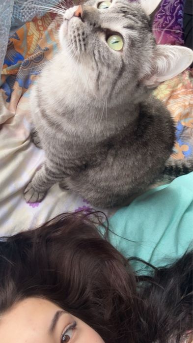 Отдам в добрые руки