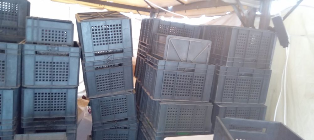 Пластиковые ящики (б/у)