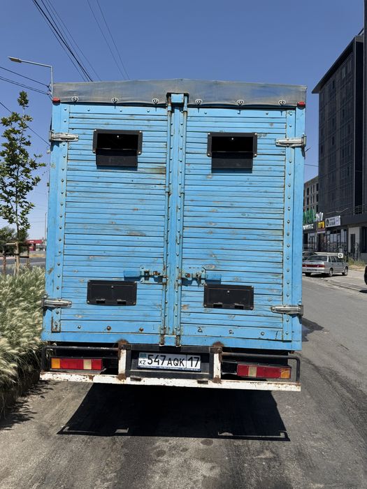 Газель агаш борт