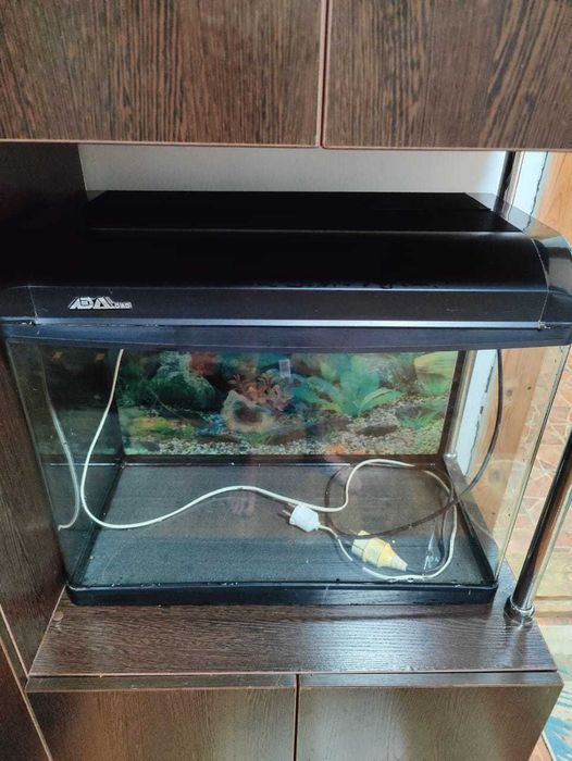 Продам аквариум б/у 80л 60×30×50×60см