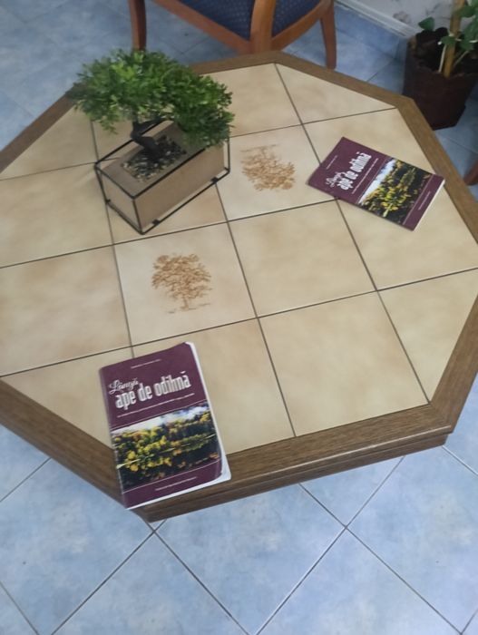 Masa cu gresie perfecta