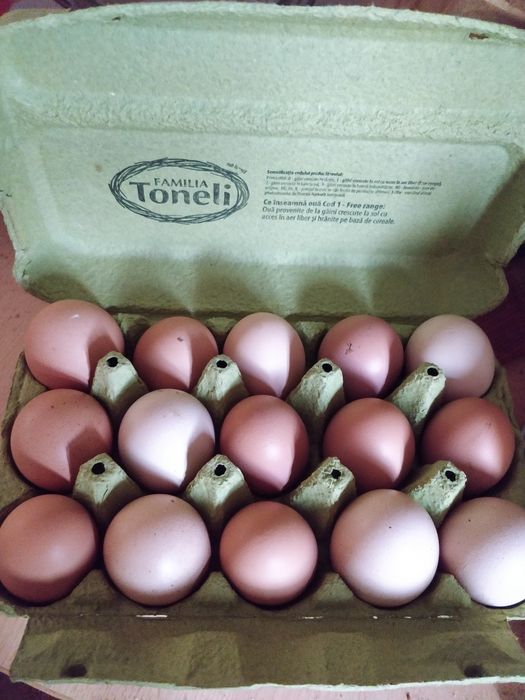 Oua de tara din gospodarie la cofrag de 30 oua