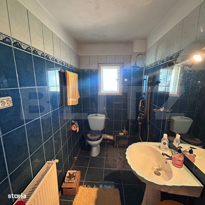 Proprietate 160 mp utili, 1.046 mp teren, centrul din Mosnita Veche