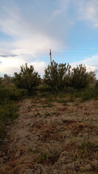 Фазенда сатылады