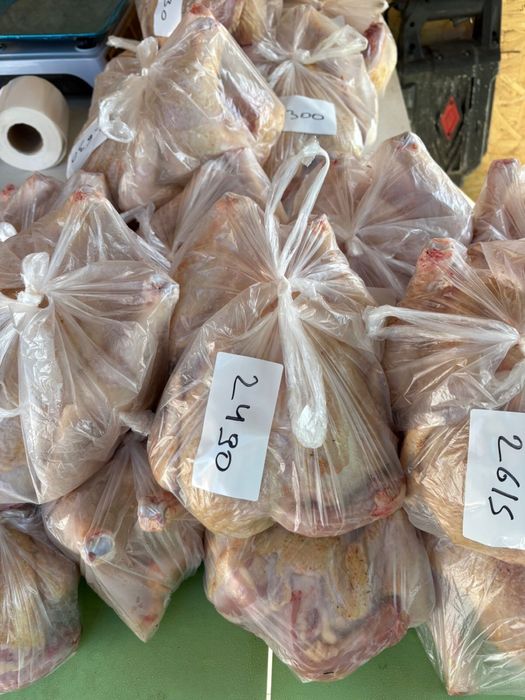 Курица бройлер домашняя