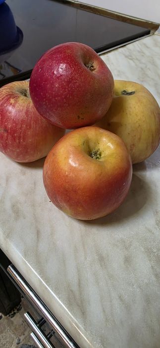 Яблочный уксус. Олма сиркаси!