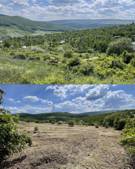 Curatare, întretinere teren, Defrisare, Tocare forestiera, vegetala,