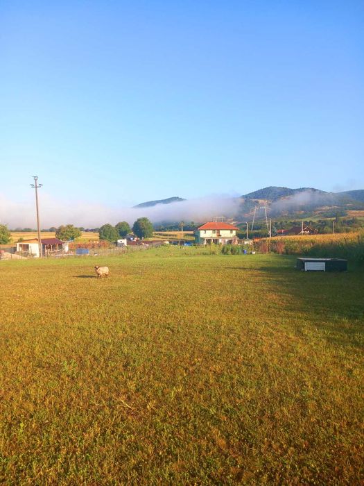 Vand teren intravilan Banpotoc