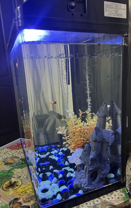 Продаем аквариум с рыбками