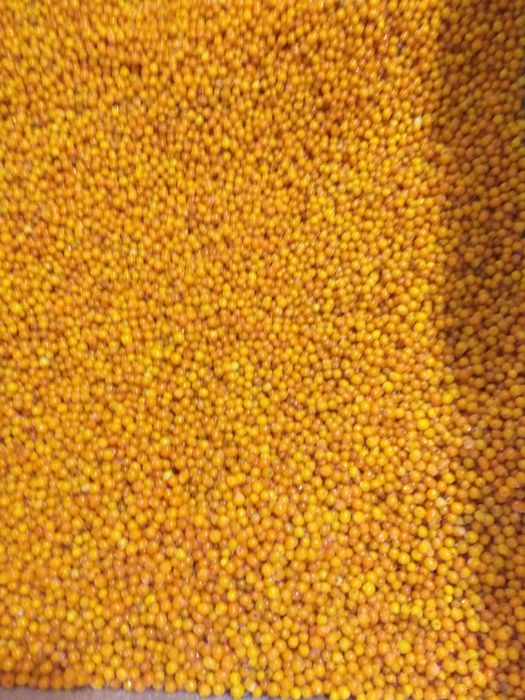 Sirop de  catina, fructe de cătină și suc de catina cu aronia