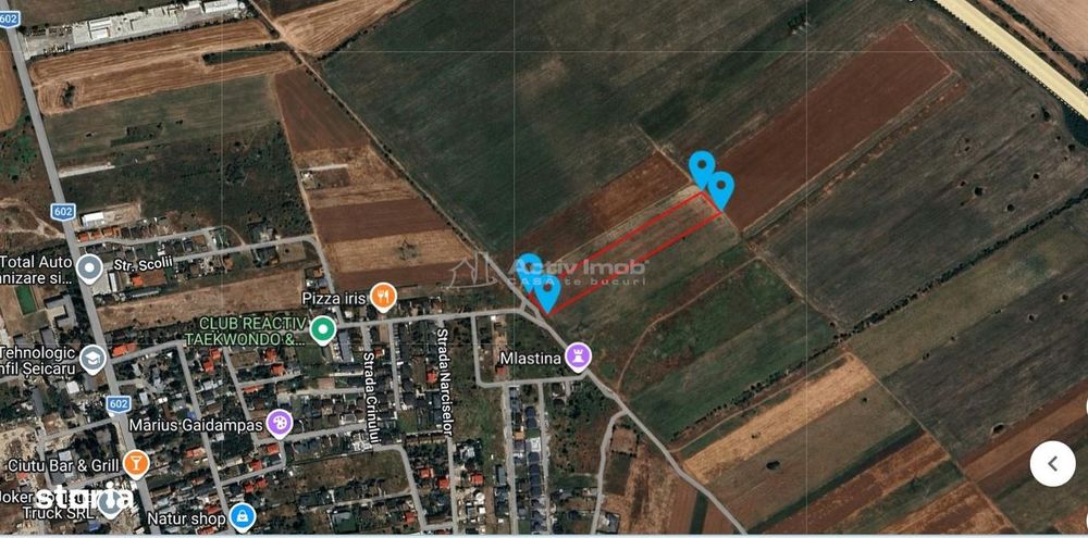 teren intravilan, 12000 mp, Ciorogarla, jud. Ilfov