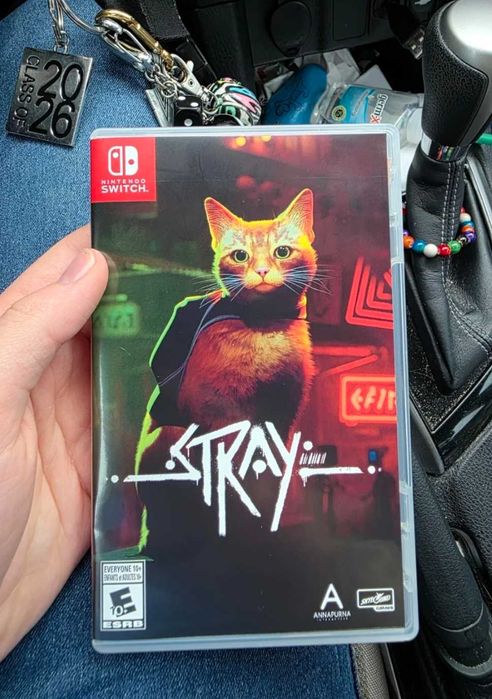 Stray (Nintendo Switch)