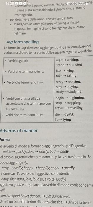 Limbi straine. Olandeza, franceza sau engleza. Araba nivel A1.