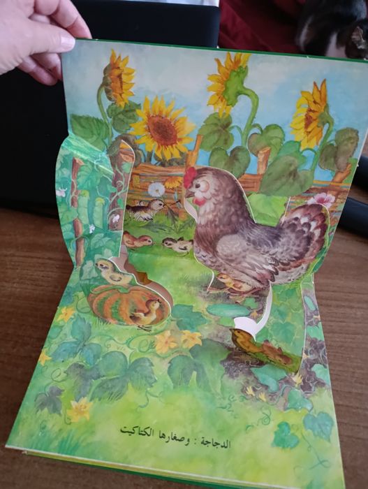 Книжки с приказки