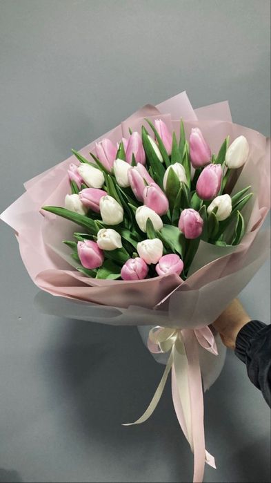 Предзаказ на тюльпаны по 750тг