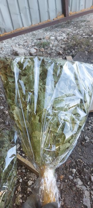 берёзовые веники для бани,