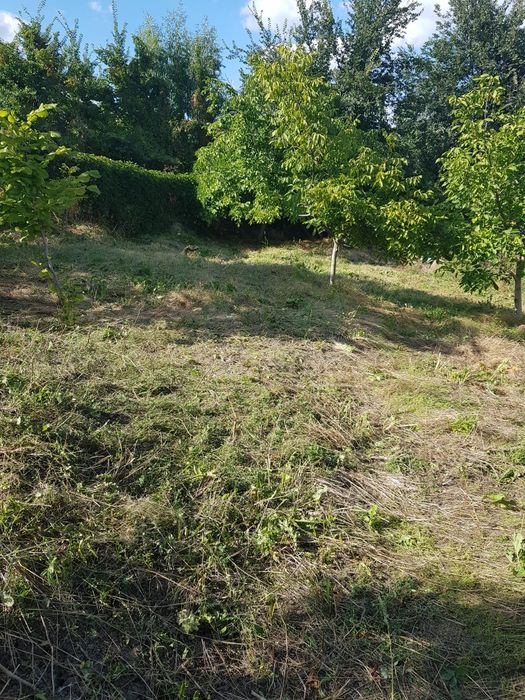 Vand teren intravilan Jugureni,PH - 1038mp