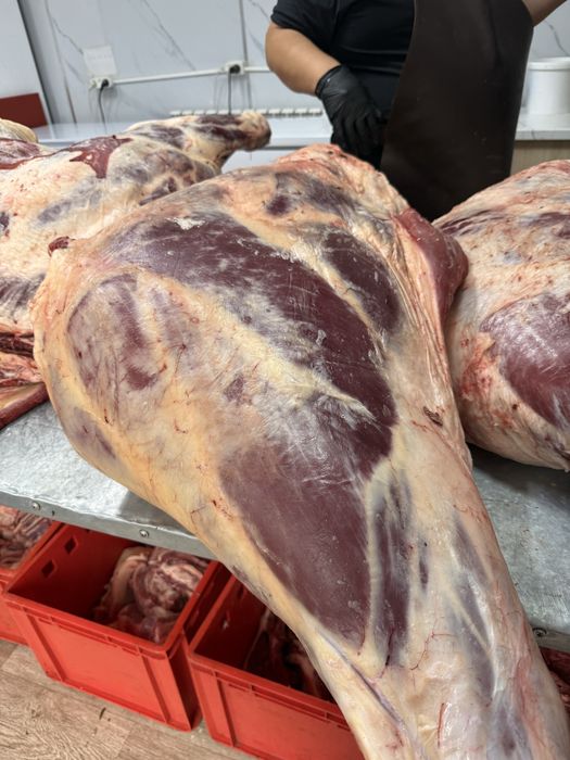 Сиыр еті говядина