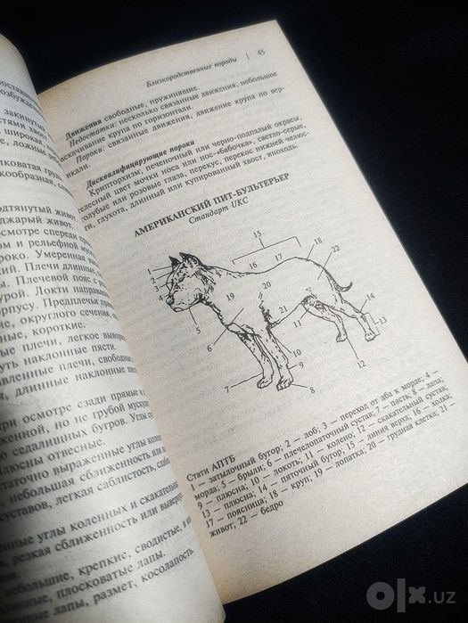 Книга. Американский Пит-Бультерьер.