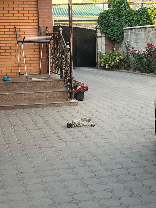 Продам брусчатку