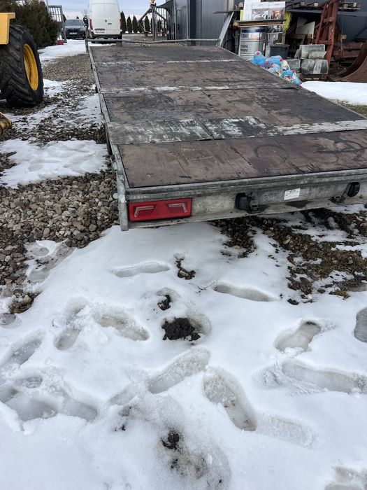 Platforma Eduard cu suspensie