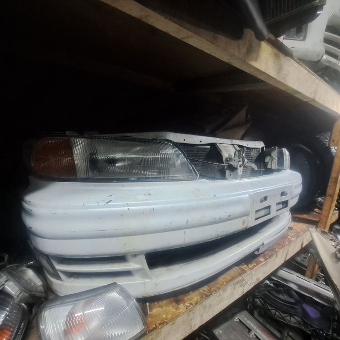 Морда носкат таёта