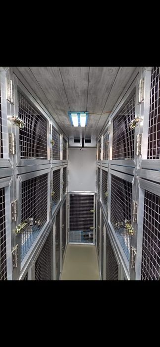 Vând cuști pentru transport animale