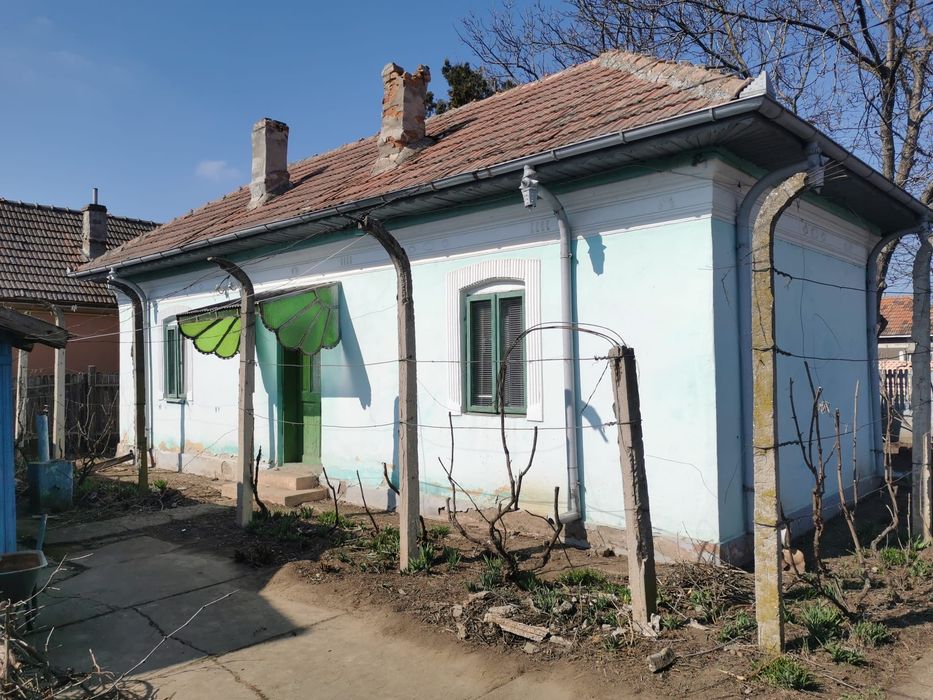 Vand casa in Corabia str Dumitru Buzdun vedere la Dunare