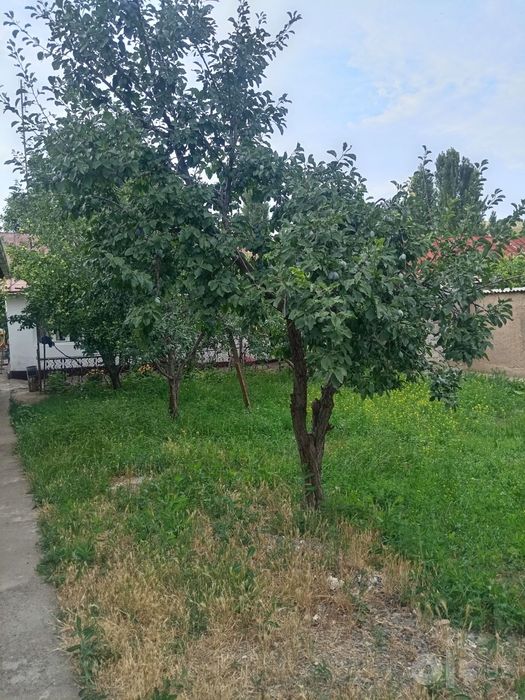 Продаётся дом в бостанлыксом районе