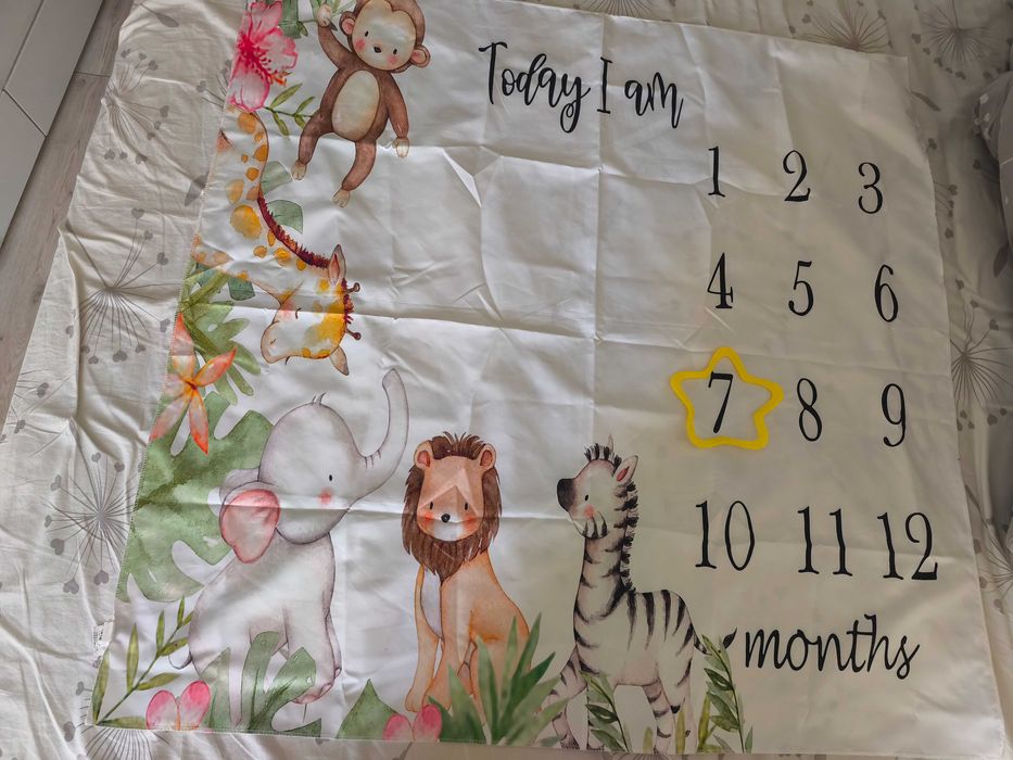 Платно за снимки сафари