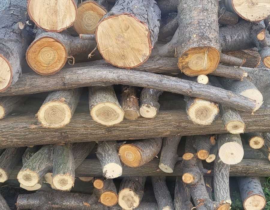 ^Дърва за огрев ^