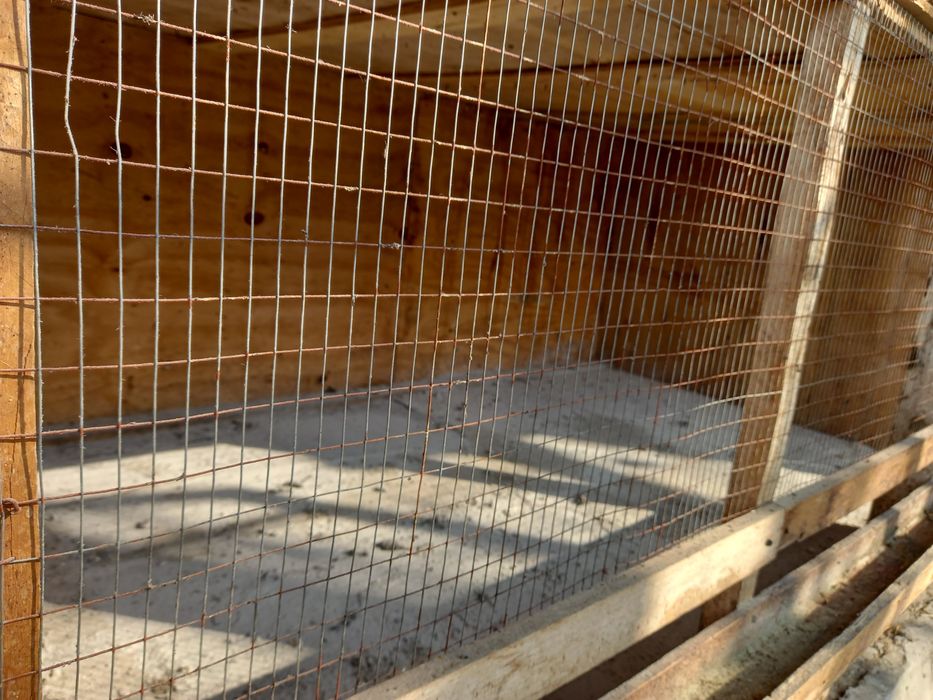 Tuvuq uchun katak sotiladi