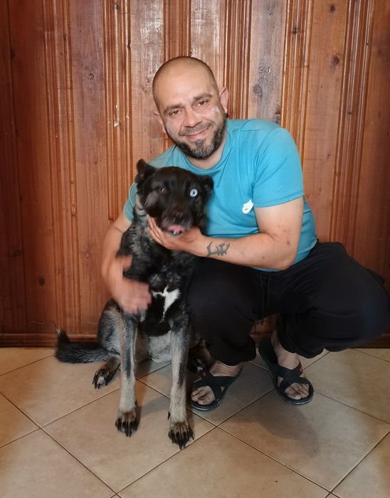 Разходка на Кучета  за София Tony Dog Walk