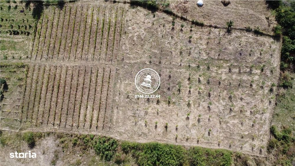 Teren pentru constructii case  de vanzare Iasi, Mogosesti,