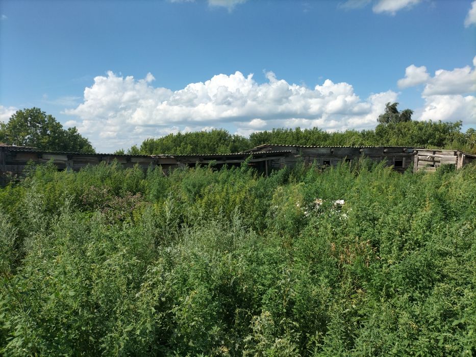 Продам дом из блок ракушечника