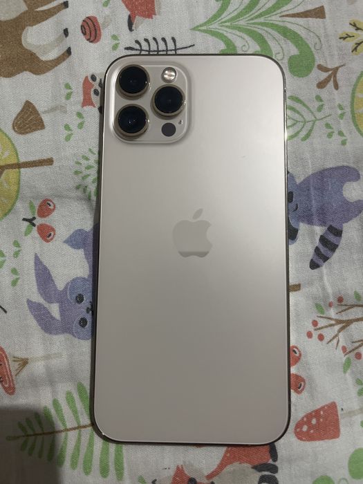 Phone 12 pro max