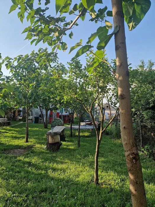 Casă decomandată cu 2 camere