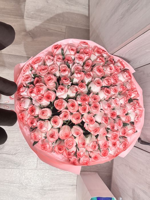 розы 101 штук цветы