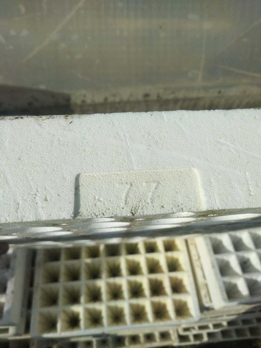 Табли за разсад 77 гнезда